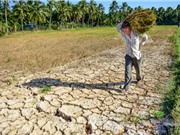 Việt Nam có thể thiệt hại tới 14,5% GDP do biến đổi khí hậu vào năm 2050